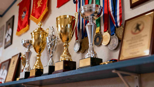 Trophies and medals from various Taekwondo competitions
