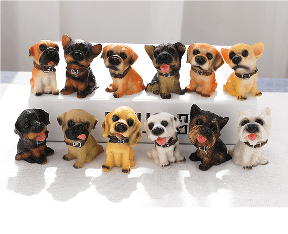 Cute dog